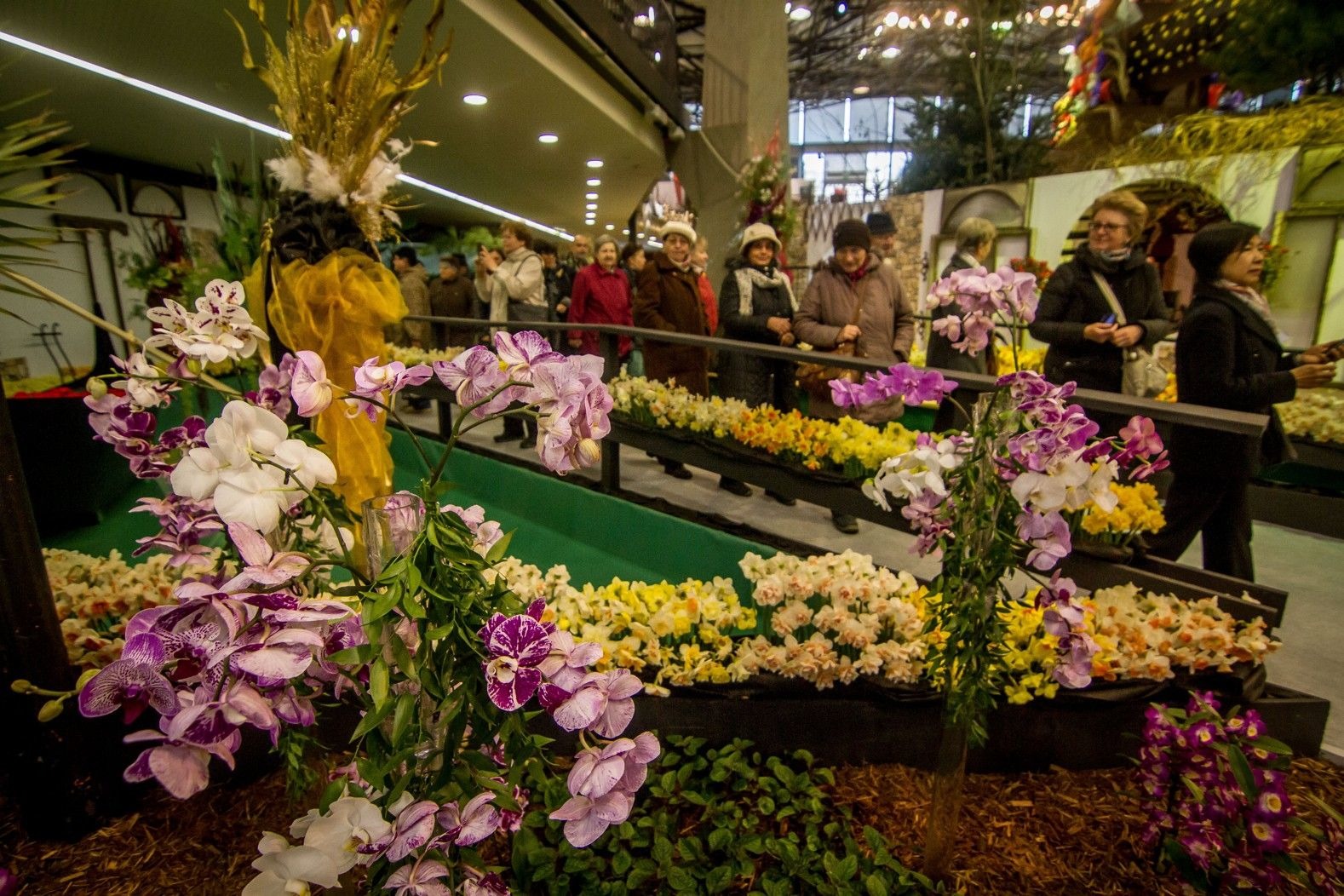 Výstavisko Flóra Olomouc